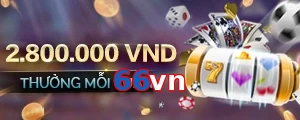 66vn