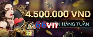 66vn