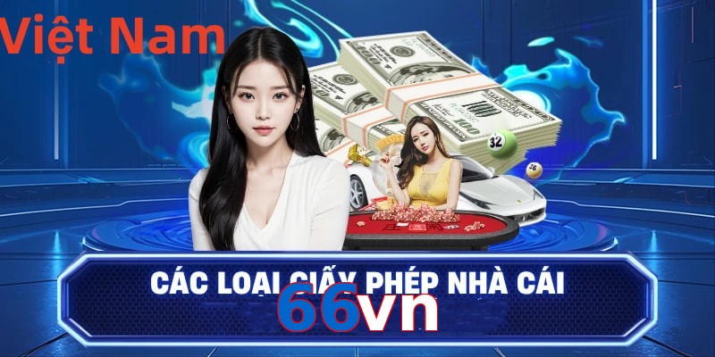 66vn