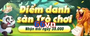 66vn