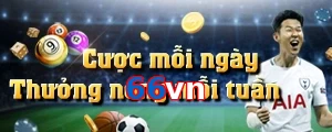 66vn